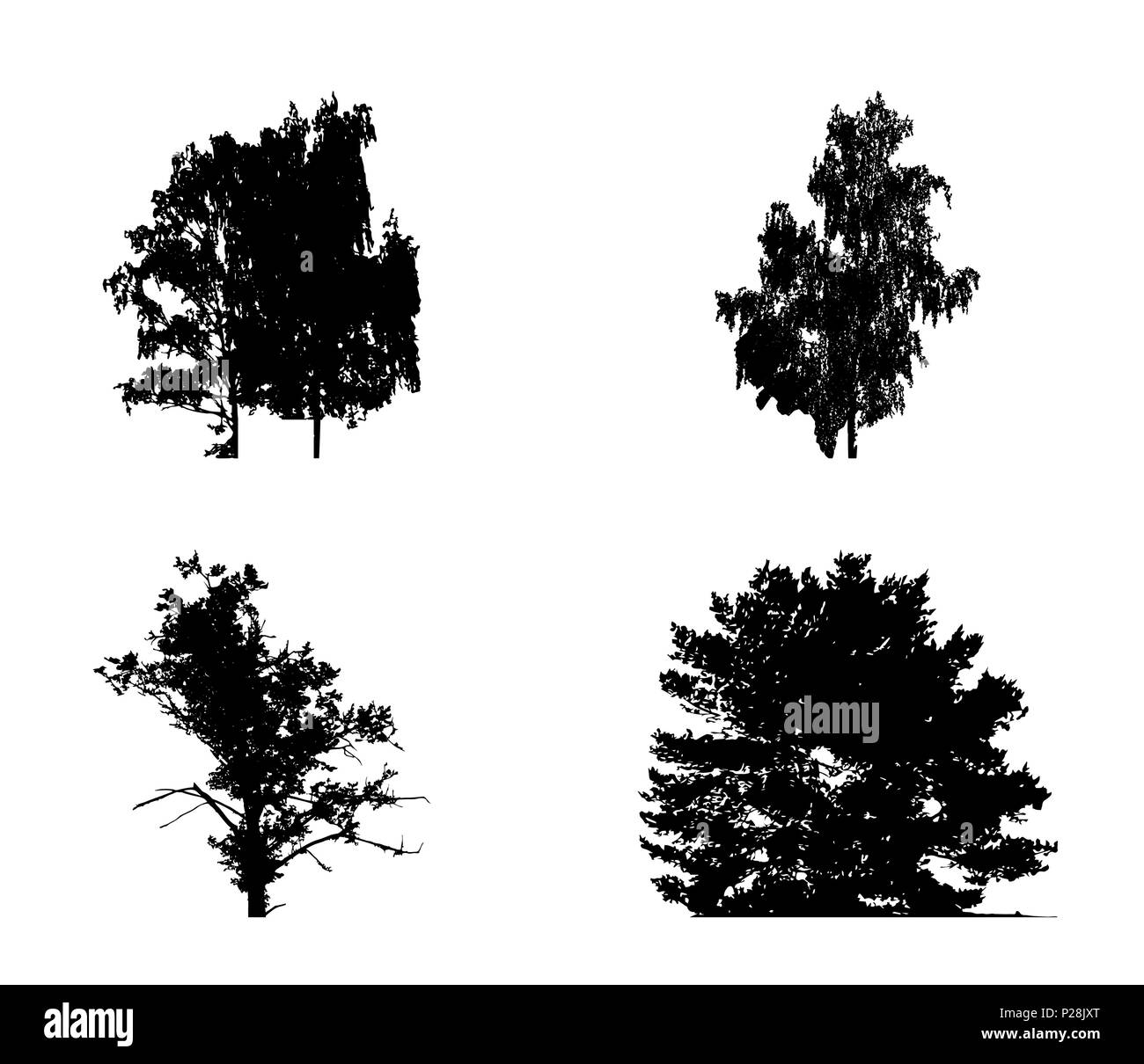 Satz von Baum Silhouette isoliert auf weißem Migrationshintergrund. Vecrtor Illustration Stock Vektor