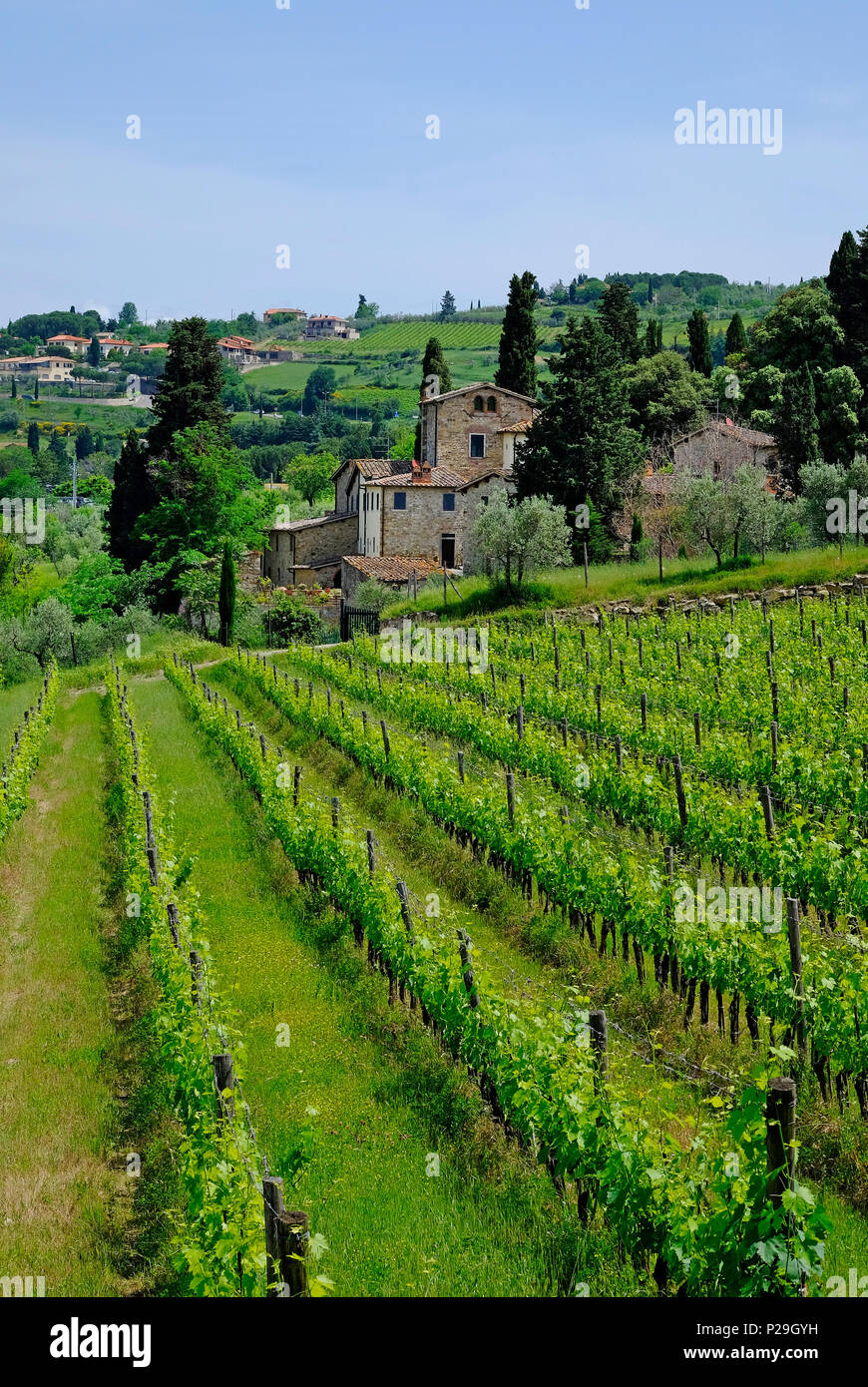 Panzano in Chianti, Toskana, Italien Stockfoto