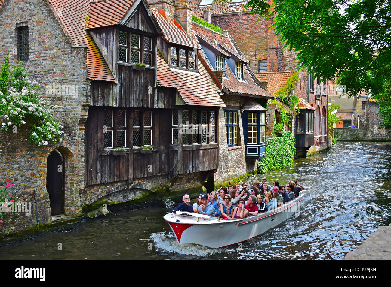 Eine beliebte Kanal tour Boot voller Touristen Ansätze die Bonifacius Brücke in ein hübsches und malerischen Teil der Groeninge, Brügge oder Brügge, Belgien Stockfoto