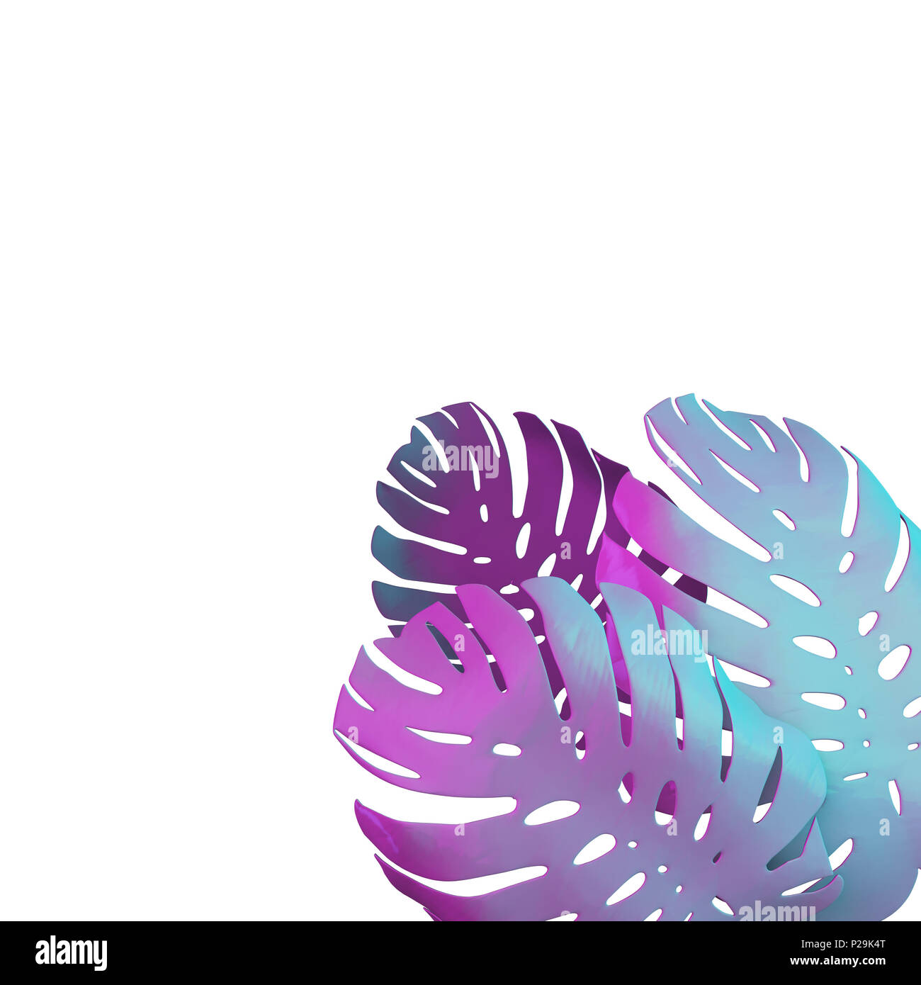 Tropische Palme monstera Blatt hintergrund. Abstrakte farbenfrohes Design Stockfoto