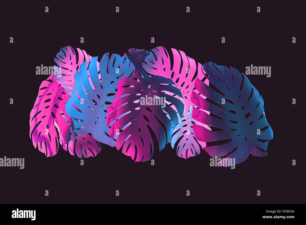 Tropische Palme monstera Blatt hintergrund. Abstrakte farbenfrohes Design Stockfoto