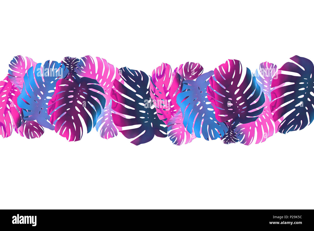 Tropische Palme monstera Blatt hintergrund. Abstrakte farbenfrohes Design Stockfoto