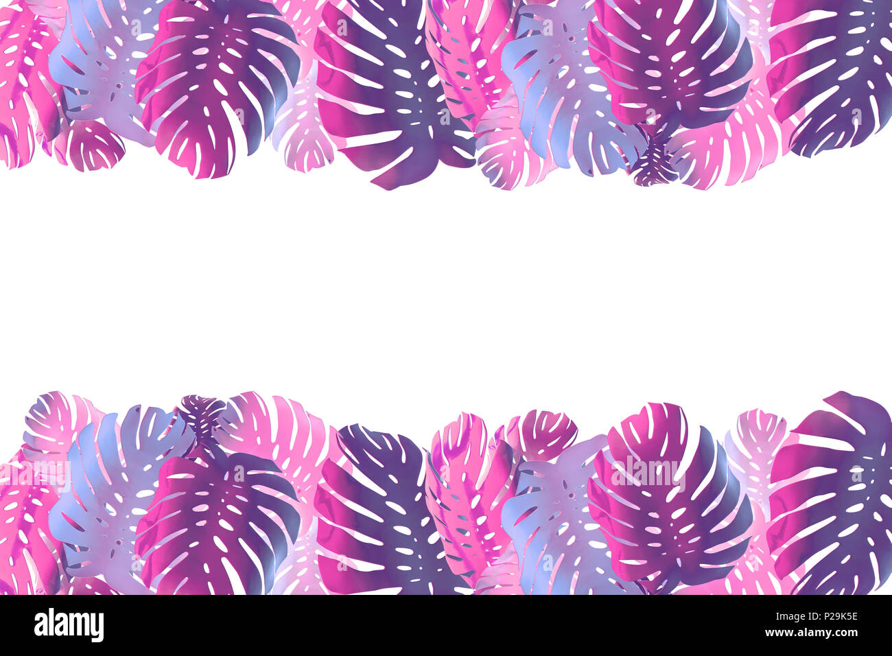 Tropische Palme monstera Blatt hintergrund. Abstrakte farbenfrohes Design Stockfoto