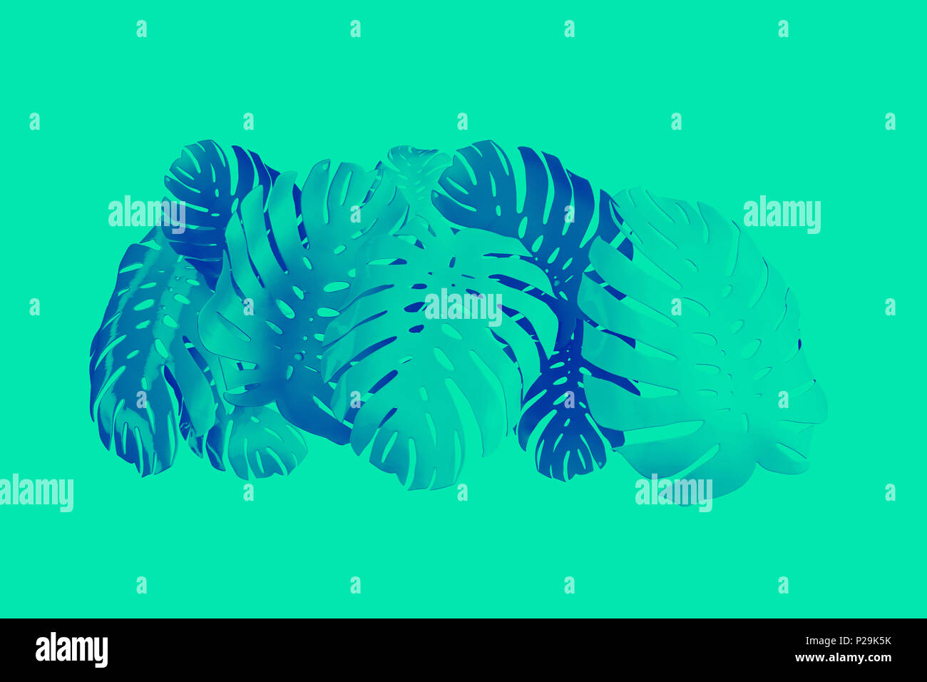 Tropische Palme monstera Blatt hintergrund. Abstrakte farbenfrohes Design Stockfoto
