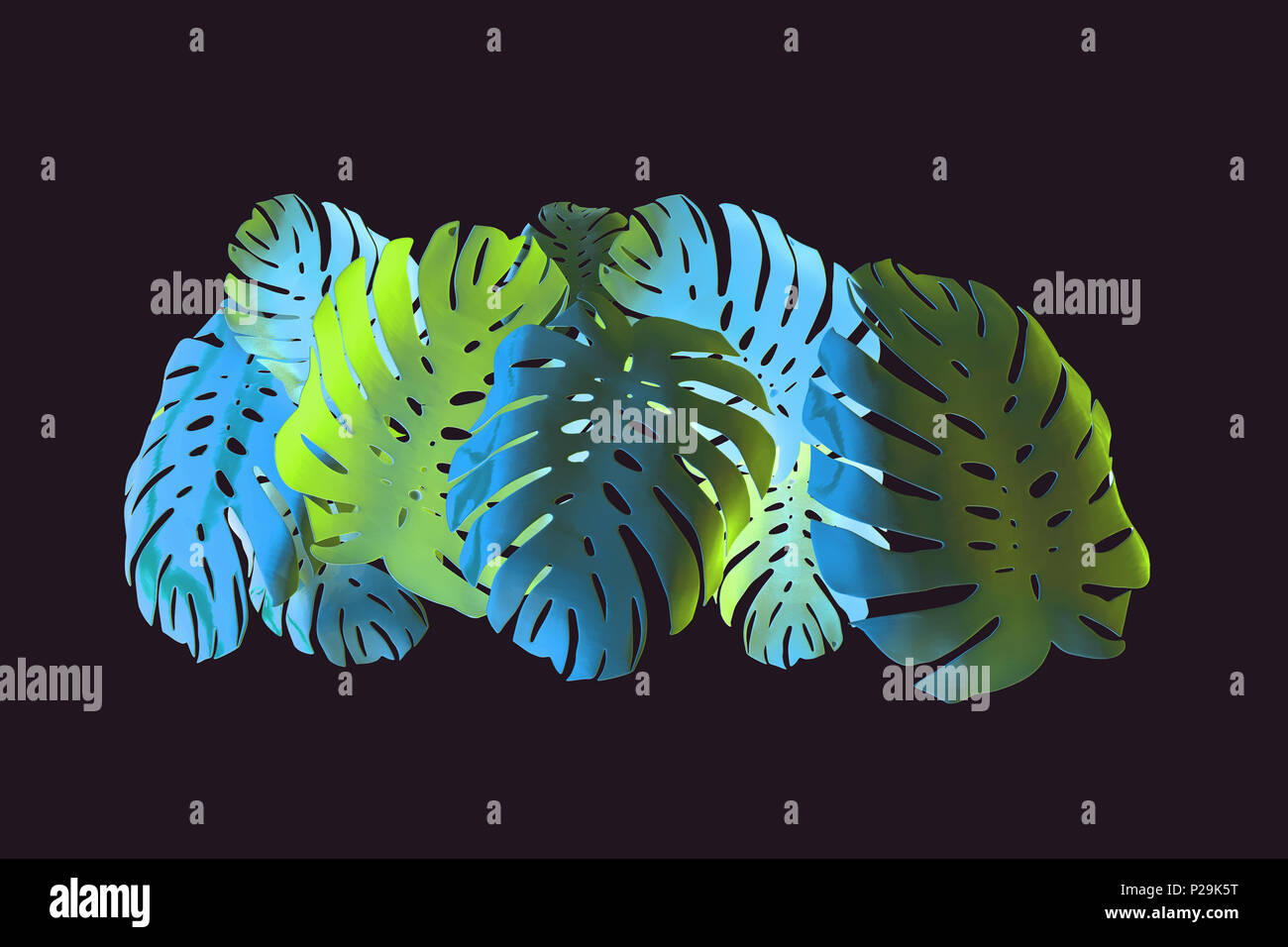 Tropische Palme monstera Blatt hintergrund. Abstrakte farbenfrohes Design Stockfoto