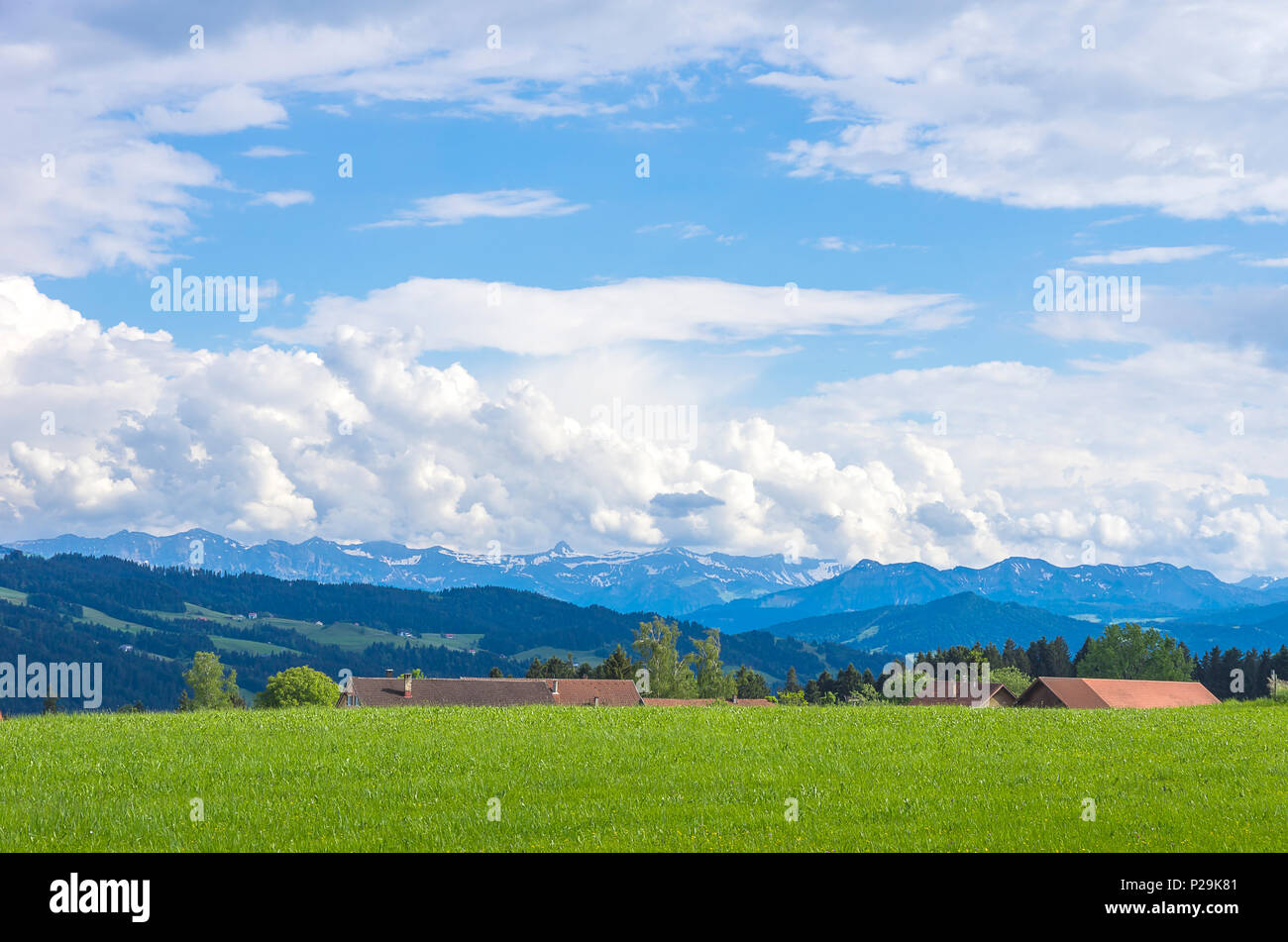 Ländlichen Raum und Landschaft im Westallgau Region rund um den Ort der Boserscheidegg in der Nähe von Lindau, Bayern, Deutschland. Stockfoto