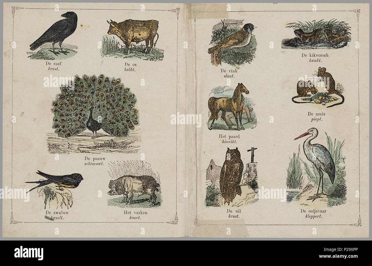 . Leerzaam allerlei voor de Lieve gestorben sind. Prentenboek met meerdere handgekleurde plaatjes pro Seite. Het abc (9 s.) heeft bij Elke (Sier) schreiben 3 lettertypen en een Afbeelding; de getallen (5 s.) tonen de cijfers van 1 tot 10 en cijfers uitspanningen romeinse; de 24 laten zien plaatjes van diverse kinderspelen; Bij De Landman (5 s.) volgt een vraag-en antwoordspel über Werkzaamheden van de Boer; Dan 37 plaatjes van Dieren met een geluid omschrijving van het dat ze maken; 22 plaatjes van vervoermiddelen, vooral schepen; en tot Slot een Anzahl fabels. 50 p: handgekl. Kranke//Met een "Voorber Stockfoto . Leerzaam allerlei voor de Lieve gestorben sind. Prentenboek met meerdere handgekleurde plaatjes pro Seite. Het abc (9 s.) heeft bij Elke (Sier) schreiben 3 lettertypen en een Afbeelding; de getallen (5 s.) tonen de cijfers van 1 tot 10 en cijfers uitspanningen romeinse; de 24 laten zien plaatjes van diverse kinderspelen; Bij De Landman (5 s.) volgt een vraag-en antwoordspel über Werkzaamheden van de Boer; Dan 37 plaatjes van Dieren met een geluid omschrijving van het dat ze maken; 22 plaatjes van vervoermiddelen, vooral schepen; en tot Slot een Anzahl fabels. 50 p: handgekl. Kranke//Met een "Voorber Stockfoto