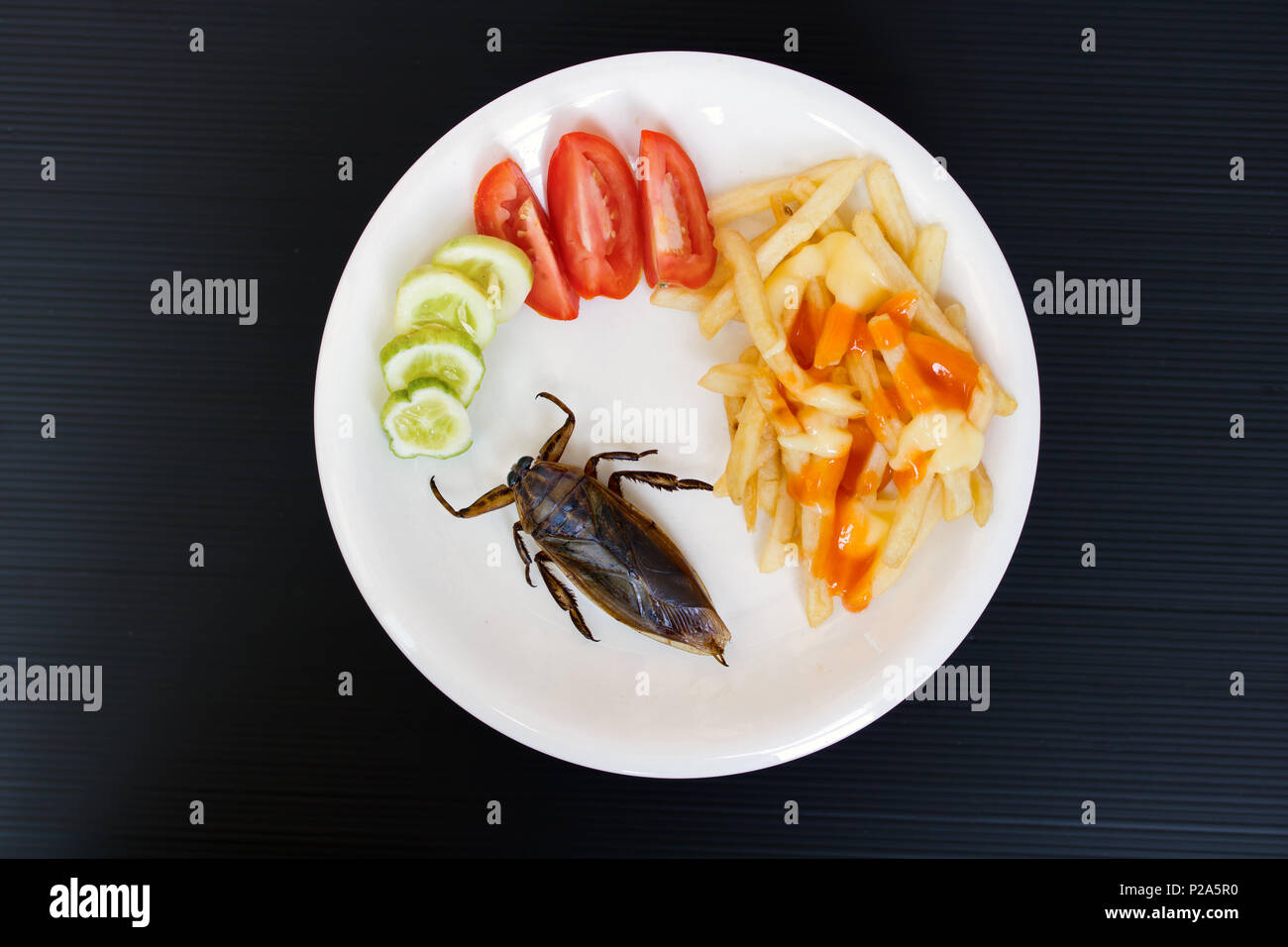 Angebot von essbaren Insekten auf einem Teller. Gebratener Riesenwasserkäfer - Lethocerus indicus mit Pommes frites und Gemüse auf einem Teller. Stockfoto