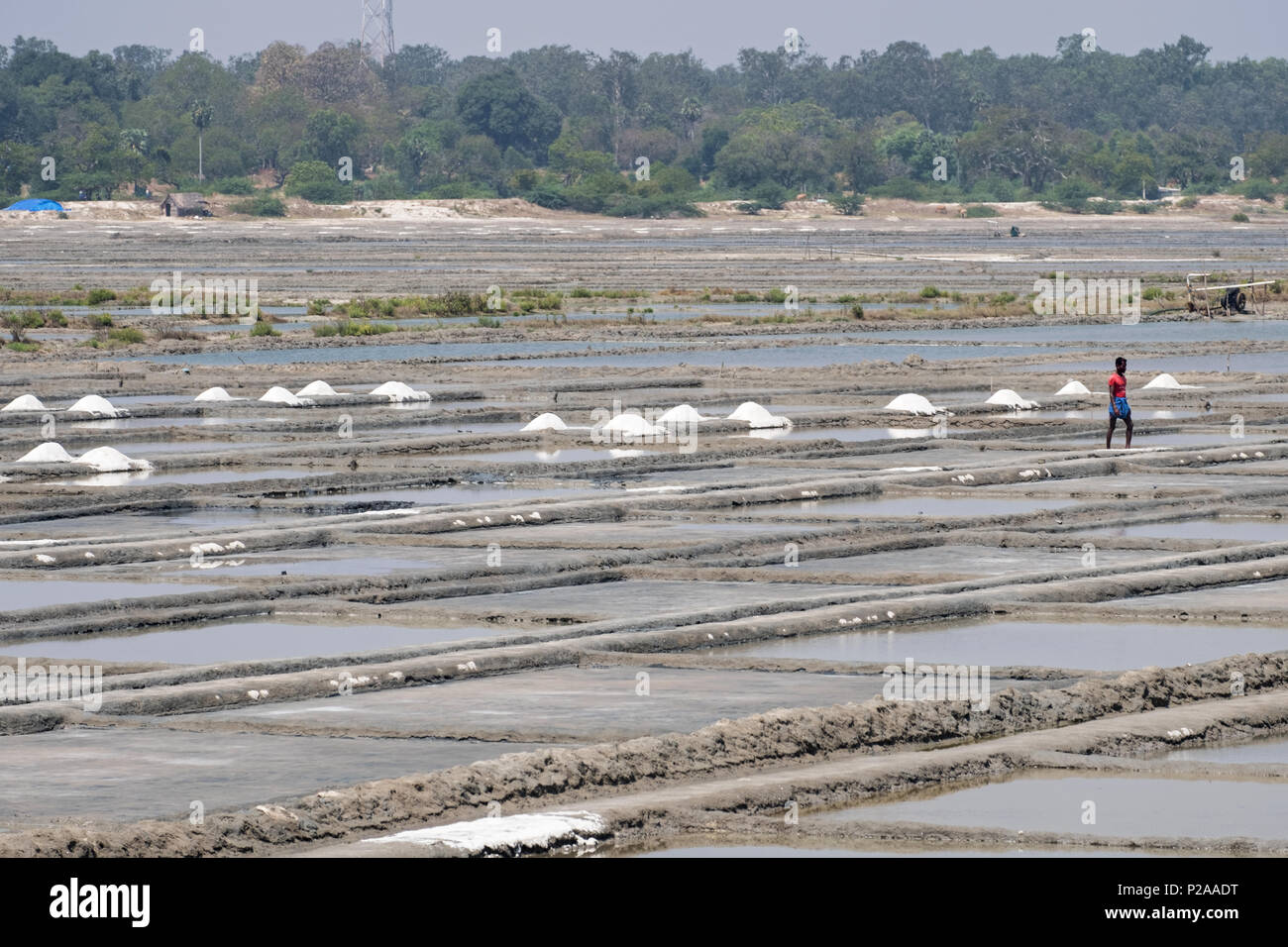 Villuppuram, Indien - 18. März 2018: Arbeiter auf dem Salt Flats im Norden von Tamil Nadu. Das Salz wird in den Gruben getrennt und in kleinen Haufen getrockneter Stockfoto