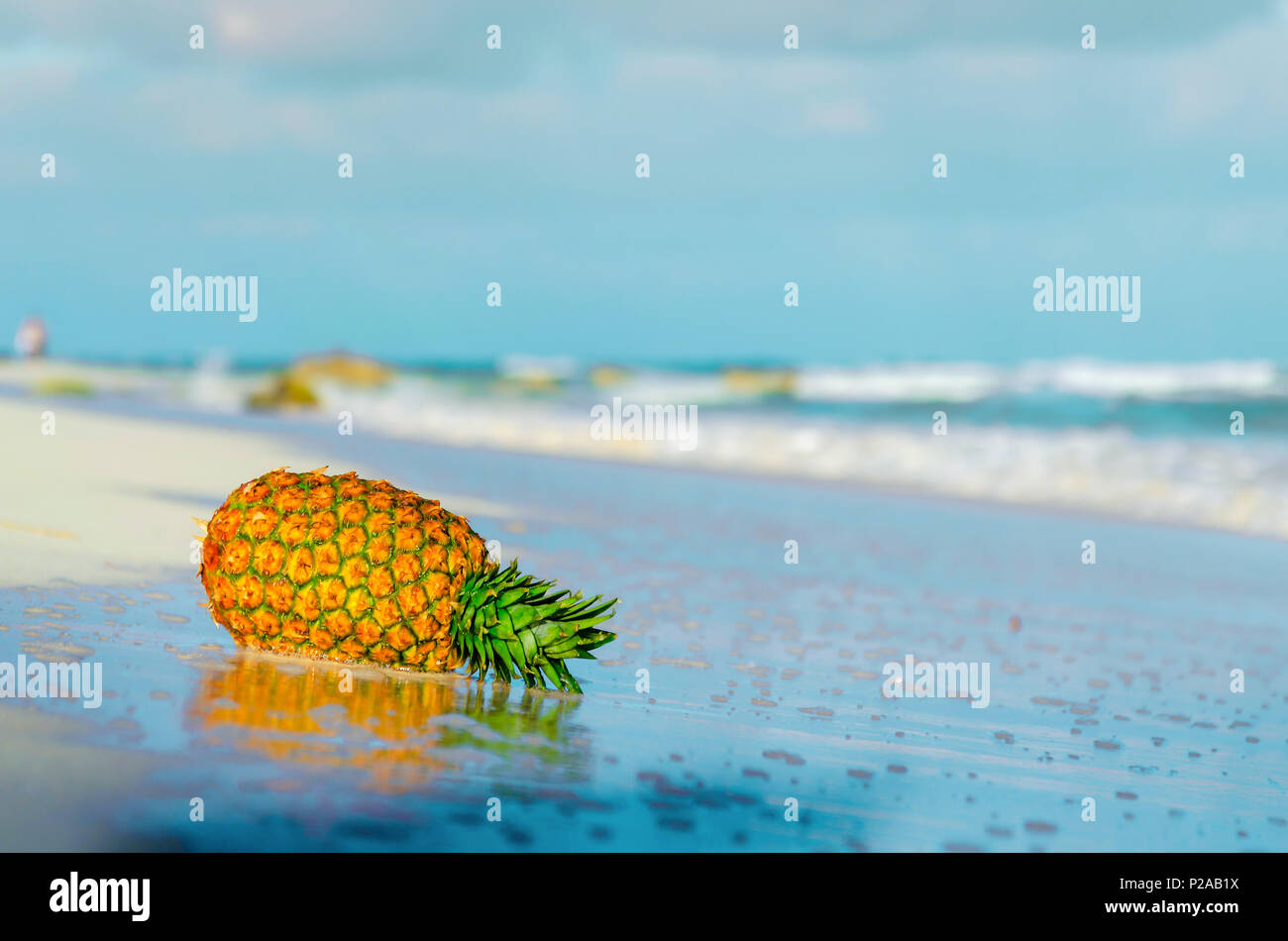 Ananas am Strand im Wasser mit dem Meer im Hintergrund reflektiert Stockfoto