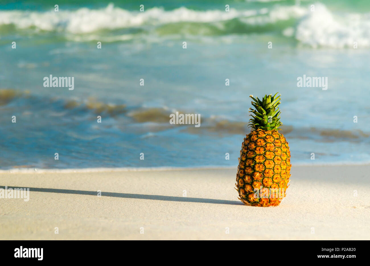 Ganze Ananas auf den Strand und das Meer im Hintergrund Stockfoto
