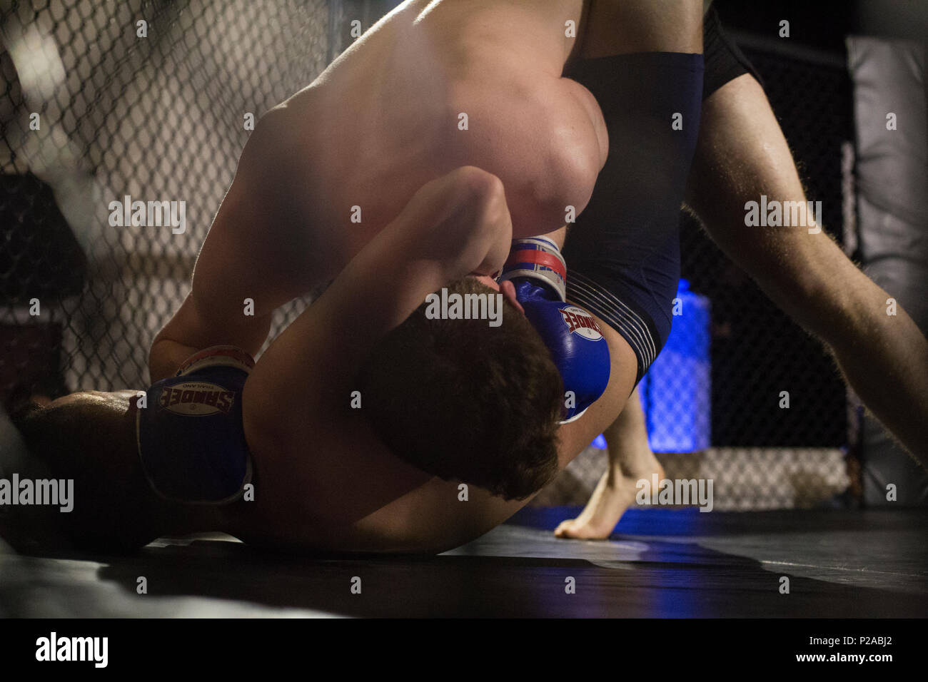MMA Kampf in Alloa, Schottland Stockfoto