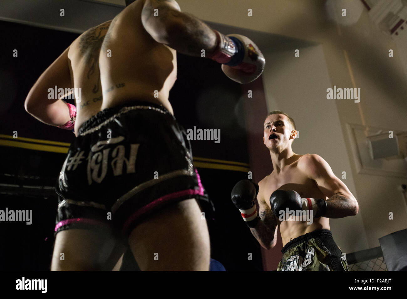 MMA Kampf in Alloa, Schottland Stockfoto