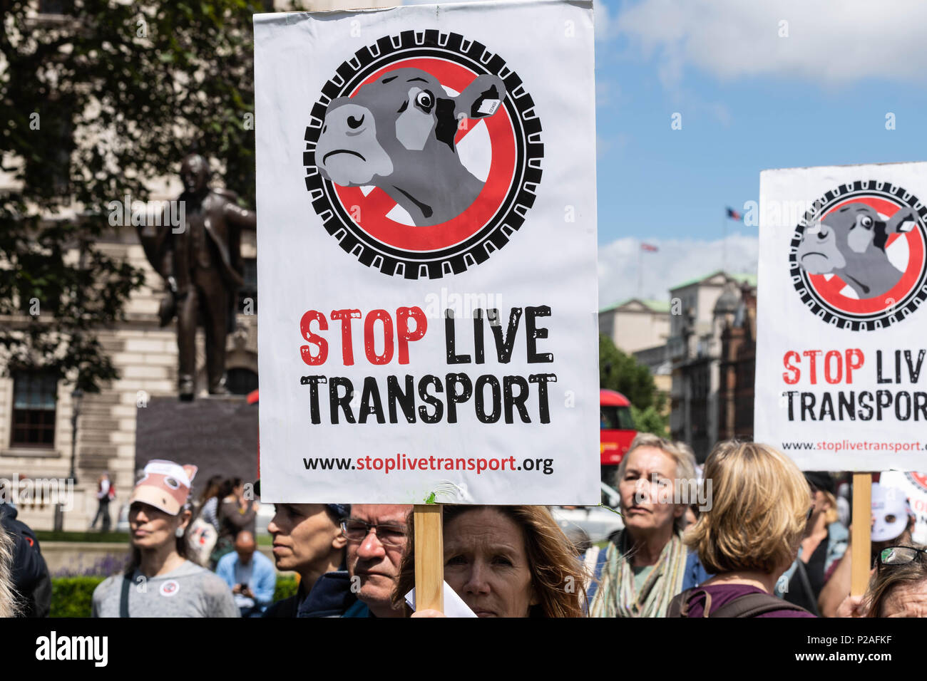London, 14. Juni 2018, Ende Transport lebender Tiere Protest auf den Parliament Square, London Credit Ian Davidson/Alamy leben Nachrichten Stockfoto