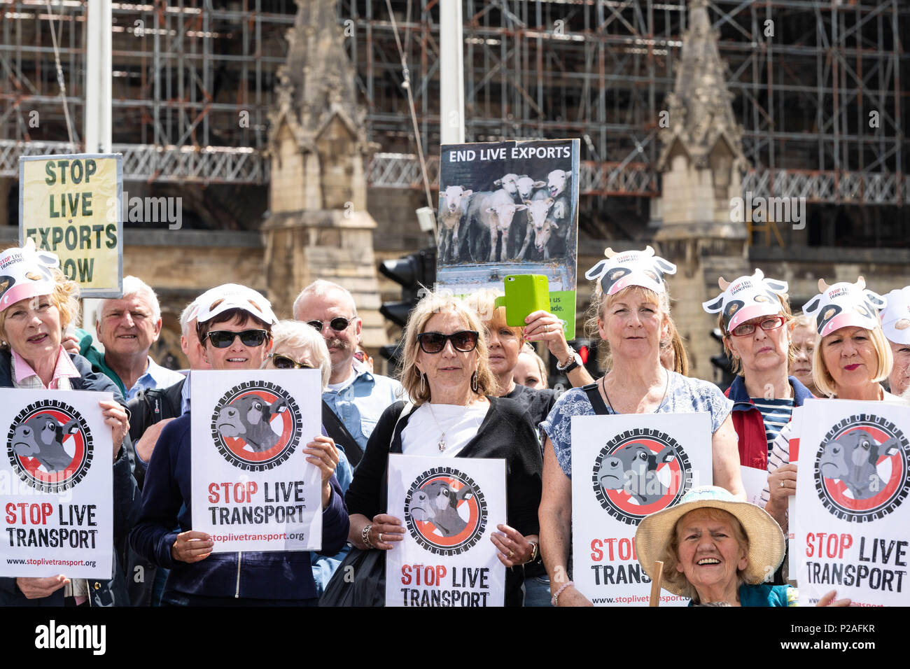 London, 14. Juni 2018, Ende Transport lebender Tiere Protest auf den Parliament Square, London Credit Ian Davidson/Alamy leben Nachrichten Stockfoto