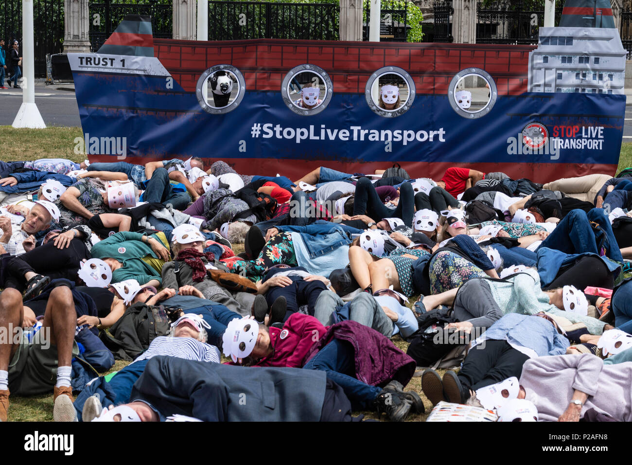 London, 14. Juni 2018, Ende Transport lebender Tiere Protest auf den Parliament Square, London ein Sterben in von Aktivisten, Kredit Ian Davidson/Alamy leben Nachrichten Stockfoto