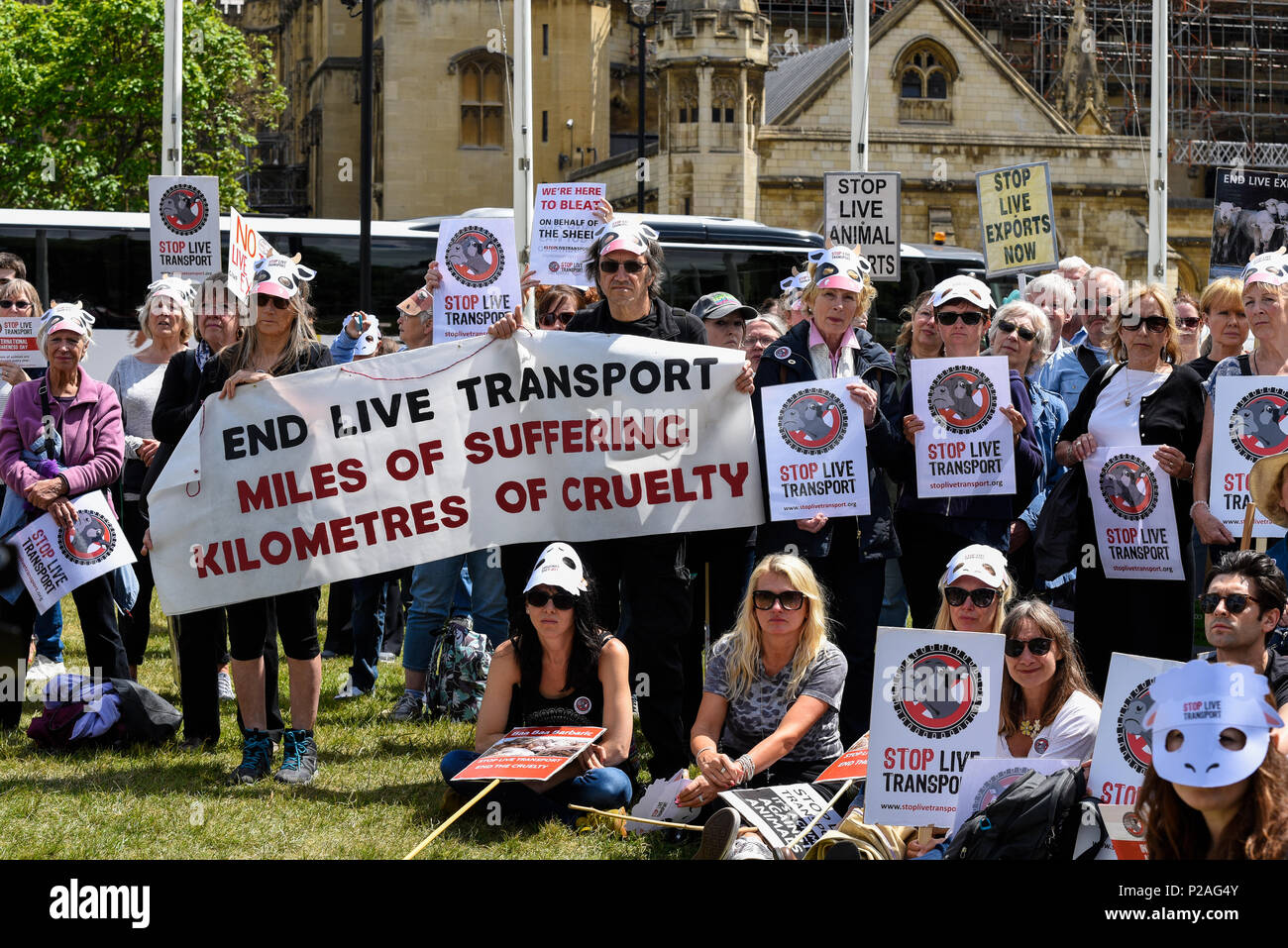 Eine Rallye statt protestieren am Leben Transport von Tieren, insbesondere von lebenden Ausfuhren aus dem Vereinigten Königreich. Menschen mit Plakaten Stockfoto