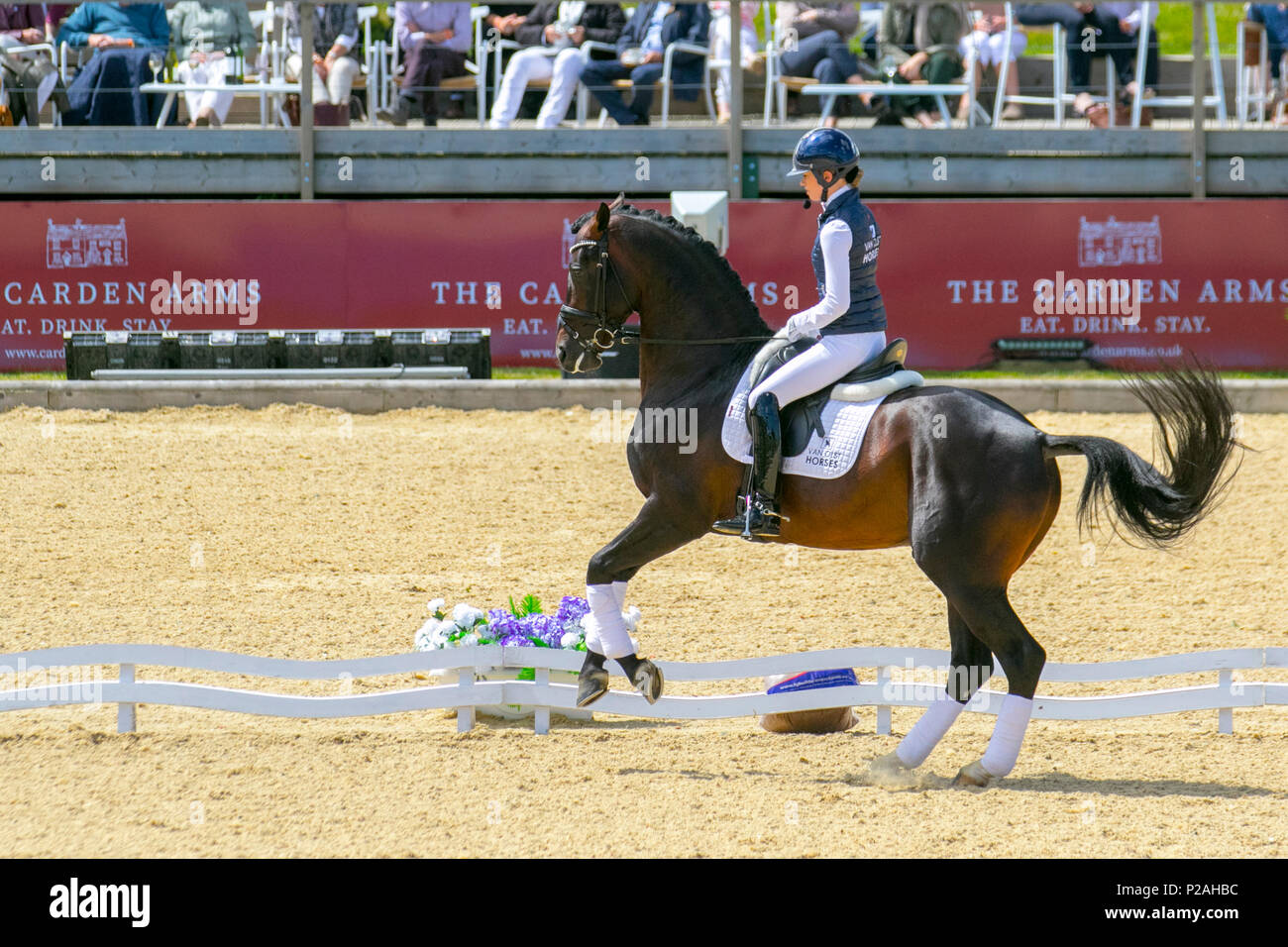 Bolesworth, Cheshire. 14.06.2018. Charlotte Fry GB Internationale Dressur Junge Reiter. Derzeit in Holland, Arbeit und Ausbildung mit Anne Van Weeghel, an der Schildknappe Bolesworth International Horse Show. Kredit MediaWorldImages/AlamyLiveNews. Stockfoto