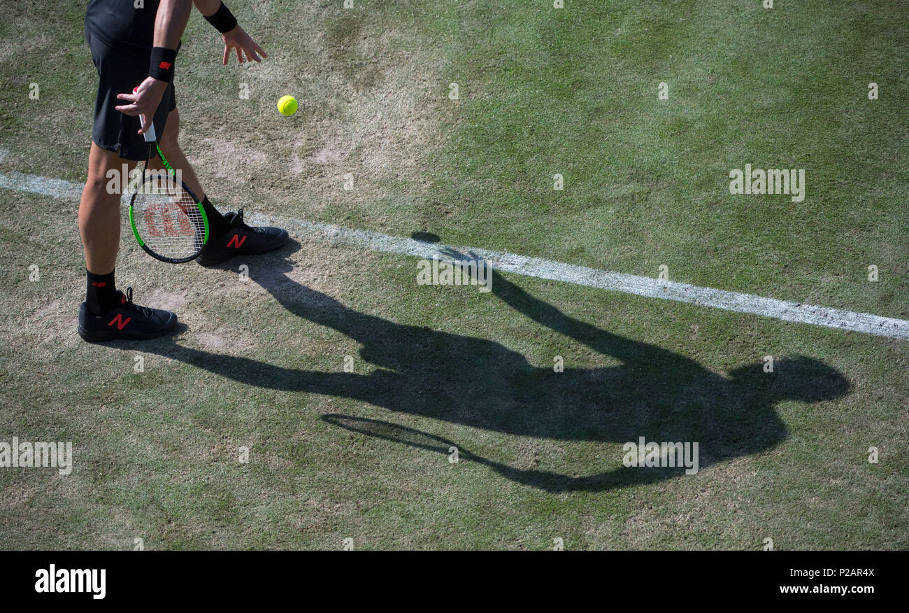 Stuttgart, Deutschland. 14 Juni, 2018. Tennis, ATP World Tour 2018 Stuttgart, Singles, Männer, Raonic (Kanada) vs Fucsovics (Ungarn). Milos Raonic in Aktion. Foto: Marijan Murat/dpa Quelle: dpa Picture alliance/Alamy leben Nachrichten Stockfoto