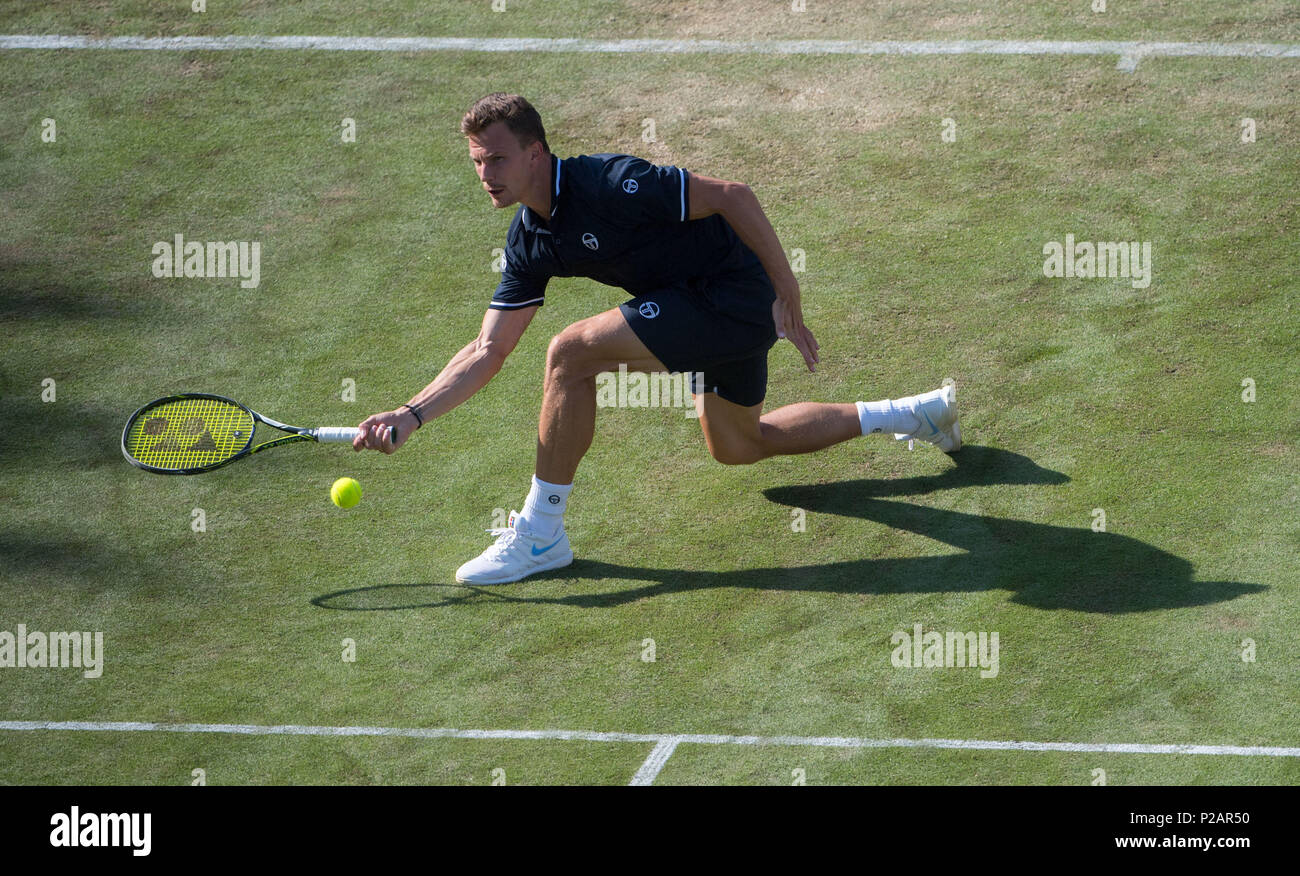 Stuttgart, Deutschland. 14 Juni, 2018. Tennis, ATP World Tour 2018 Stuttgart, Singles, Männer, Raonic (Kanada) vs Fucsovics (Ungarn). Milos Raonic in Aktion. Foto: Marijan Murat/dpa Quelle: dpa Picture alliance/Alamy leben Nachrichten Stockfoto