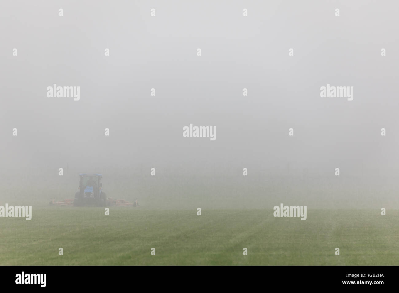 Traktor mähen das Gras auf einer sehr nebligen Tag in in Bridghampton, NY Stockfoto