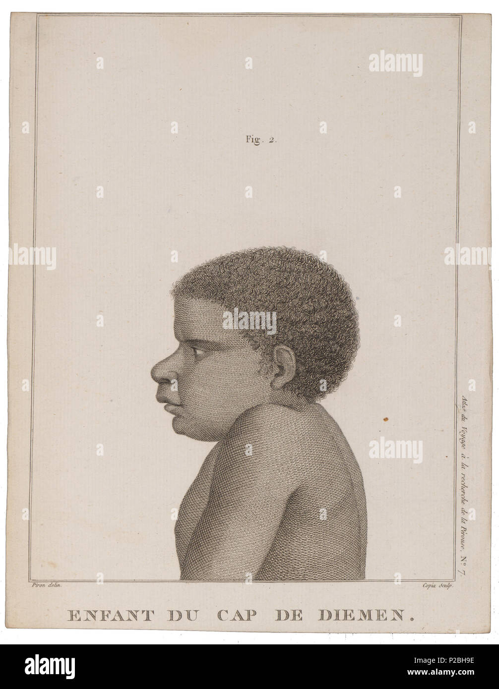 UBA01 IZ 19500048-y, 22-09-09, 14:44, 8 C7048 x 9894 (630 +412), 100 % % % %, BasisCurve Kunst, 1/50 s, R 49,6, G 19.4, B 12.4 152 Homo sapiens - Tasmanië - 1700-1880 - Drucken - Iconographia Zoologica - Sondersammlungen Universität Amsterdam - UBA01 IZ 19500045 Stockfoto