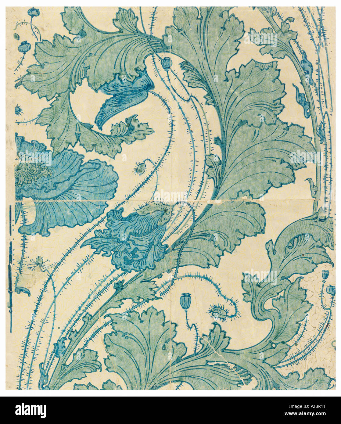 . Englisch: Seitenwand, birmanischen Mohn, 1896. Englisch: Stilisierte Mohnblume und Blatt Design in grossen, fetten, serpentine Muster gezeichnet. Das Hintergrundbild ist 'Waschen drucken" genannt, weil die blauen und grünen Farben sind semi-transparent. Über die ecru Feld gibt es in der gelben Umrisse einer kleinen all-over Blatt Design bedruckt. Art nouveau Stil. . 1896 292 Seitenwand, birmanischen Mohn, 1896 (CH) 18571715 Stockfoto