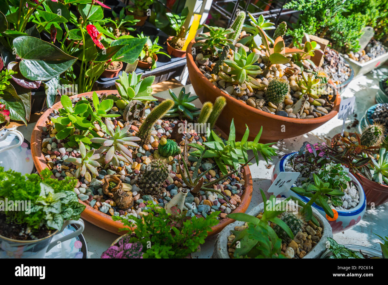 Spring Garden Festival in Gainesville, Florida. Stockfoto