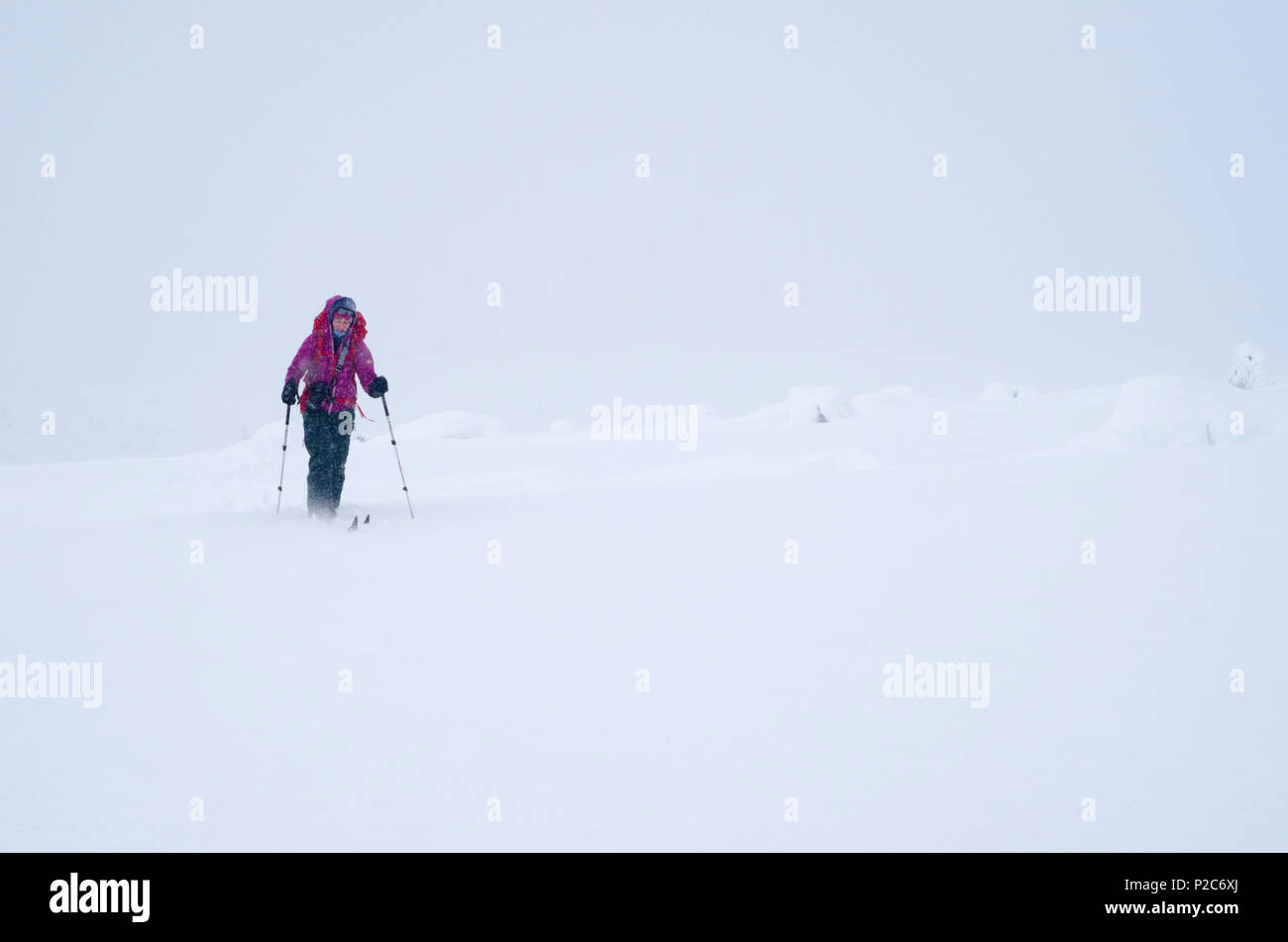 Eine junge Frau auf backcountry Skier ist Laufen in tiefem Schnee, der Urho-kekkonen-Nationalpark, finnisch Lappland, Finnland Stockfoto