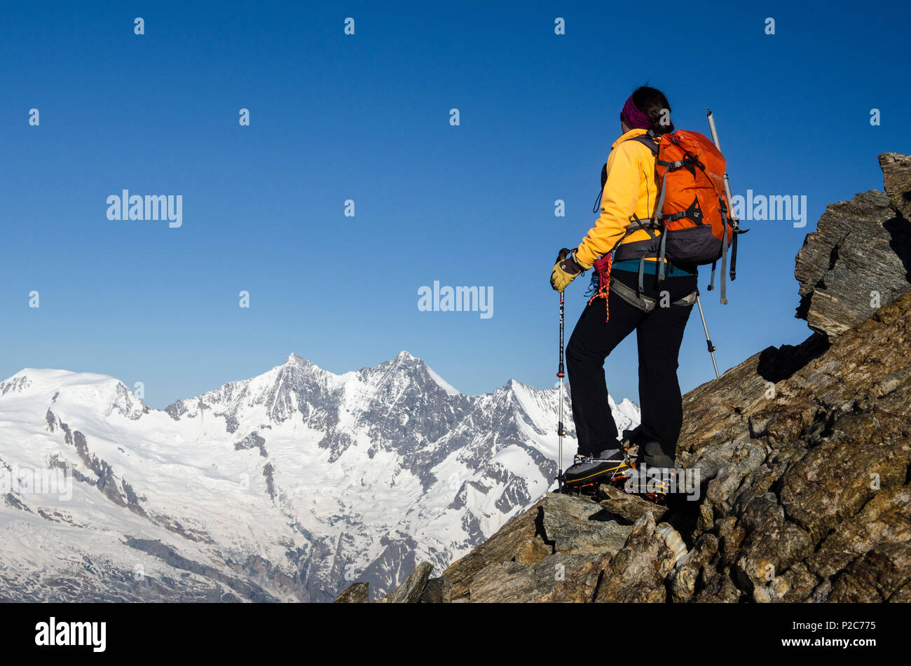 Ein weiblicher Alpinisten auf dem Südgrat des Weissmies, im Hintergrund von links nach rechts, Alphubel, Taeschhorn, Dom und Lenzs Stockfoto