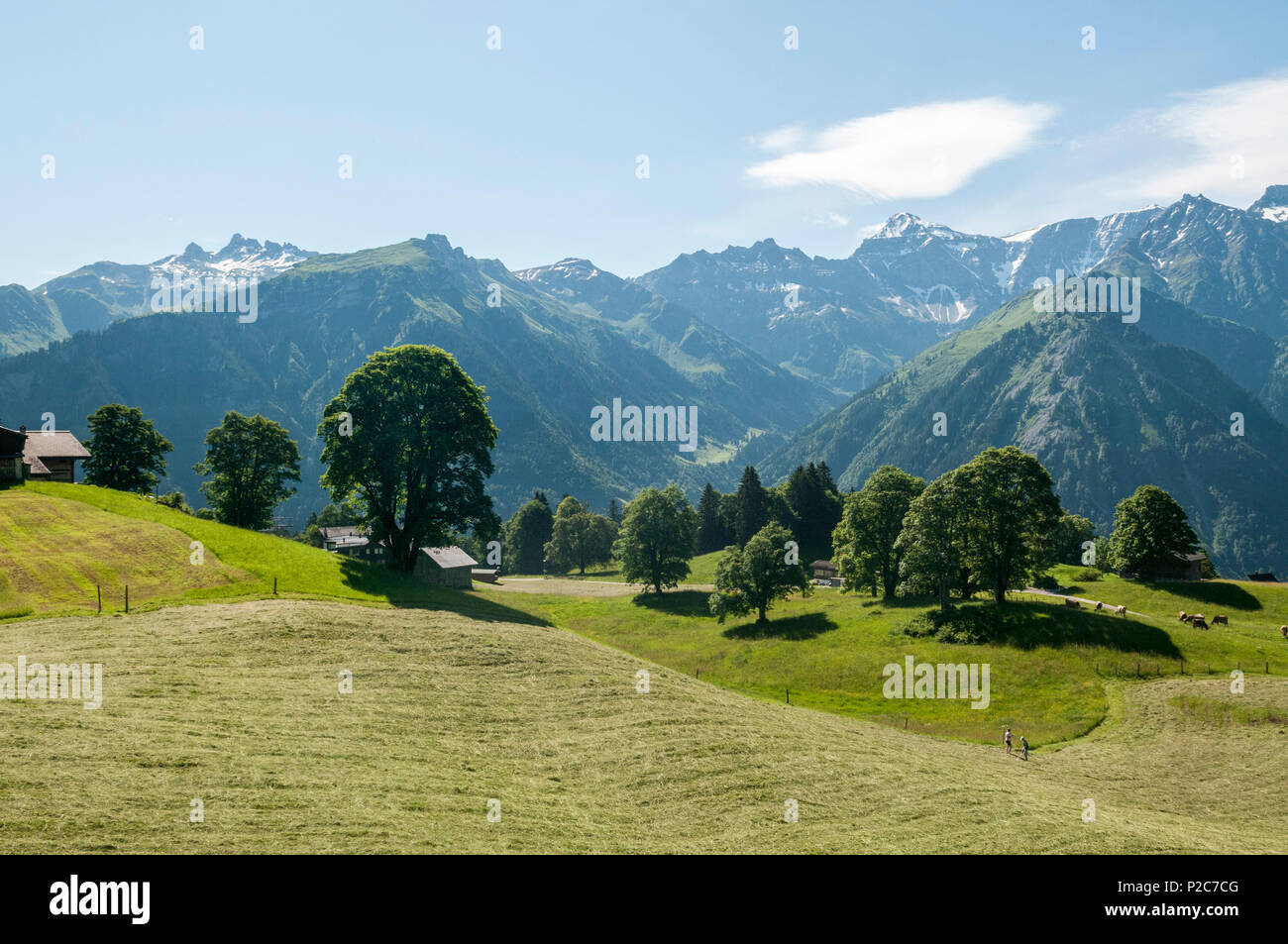 Zwei Personen im Dorf Braunwald, Glarner Alpen, Kanton Glarus, Schweiz Heuernte Stockfoto