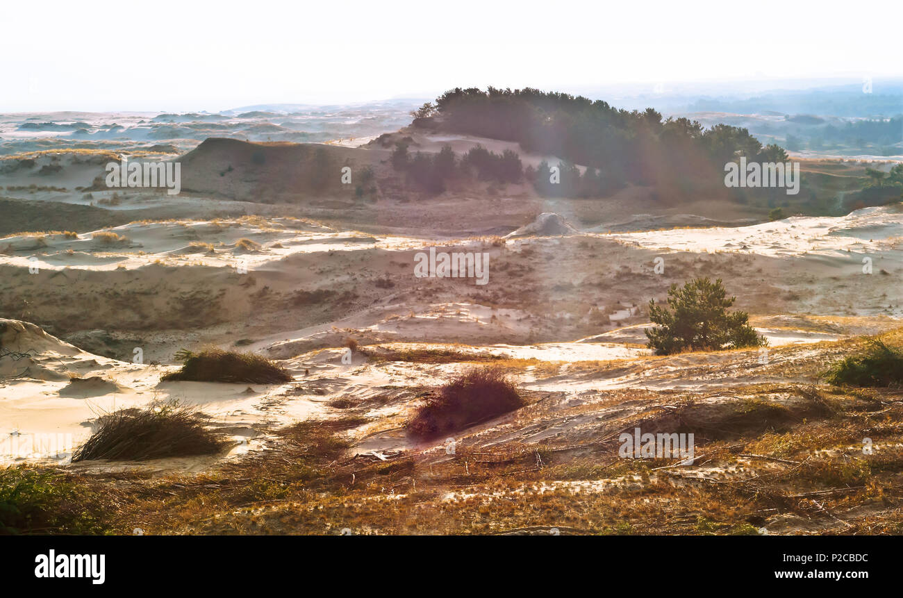 Sonnenlicht auf dem Sand, Sand Dünen an der Ostsee, Dünen, Berge und Sanddünen Stockfoto