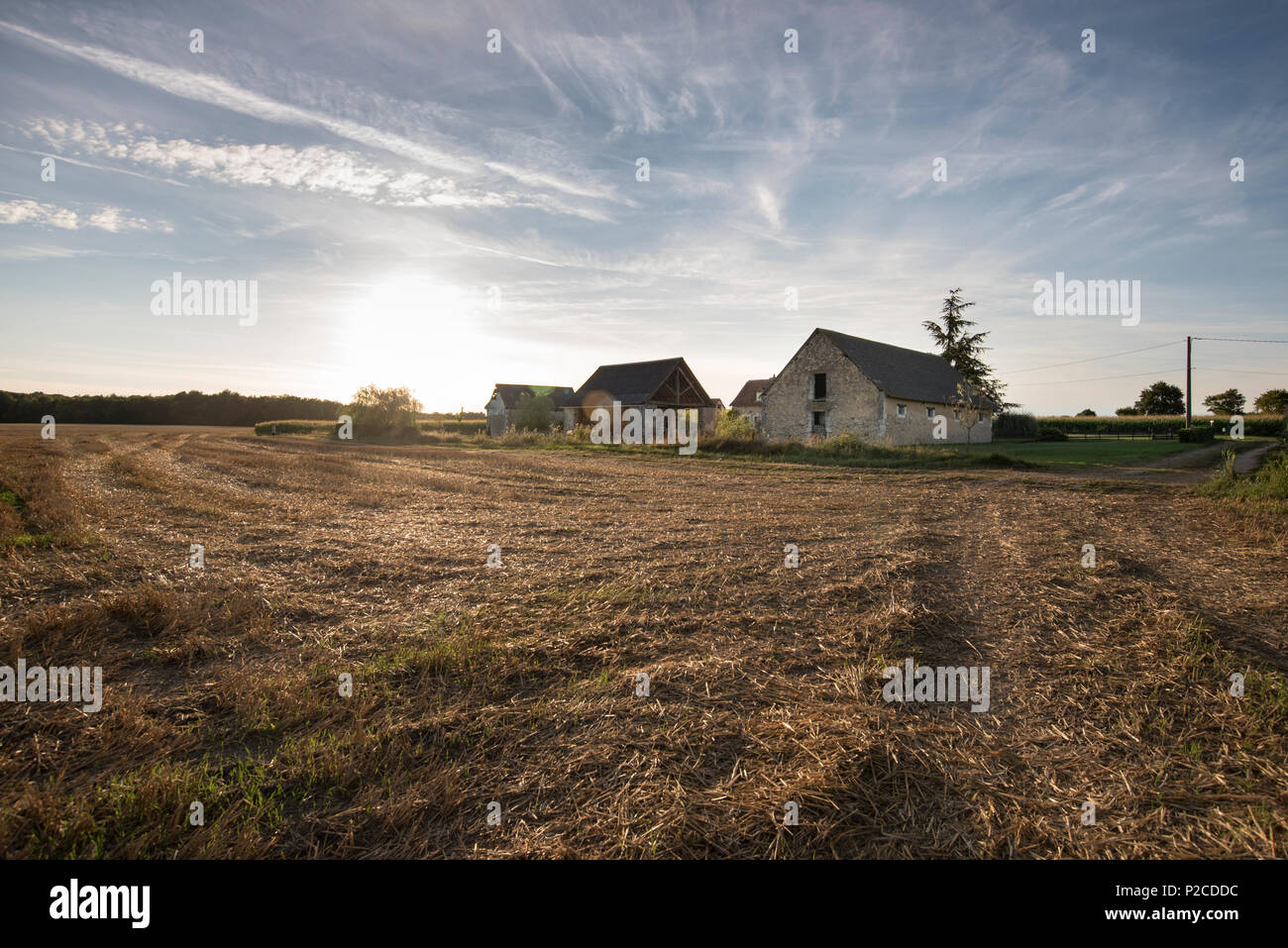 Eine abschweifende Französischer Bauernhof im Pays de la Loire. Stockfoto