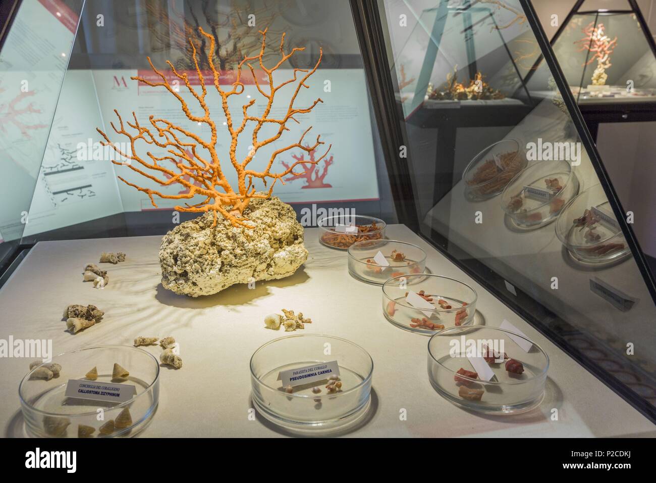 Italien, Sardinien, Sardinien, Alghero, das Museum der Korallen (del Corallo) Stockfoto