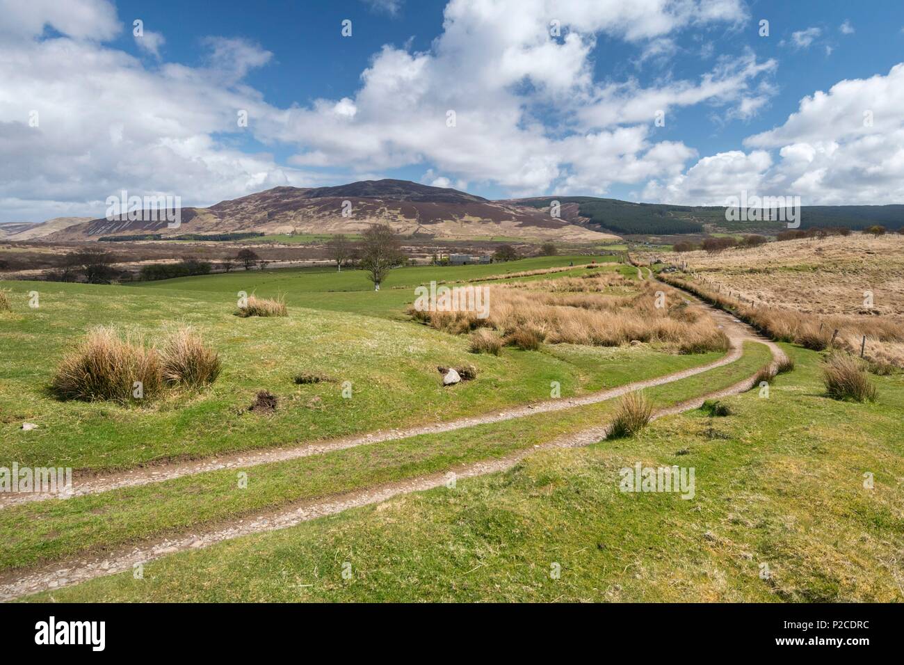 Vereinigtes Königreich, Schottland, North Ayrshire, Arran Insel, Blackwaterfoot, typische Landschaft Stockfoto