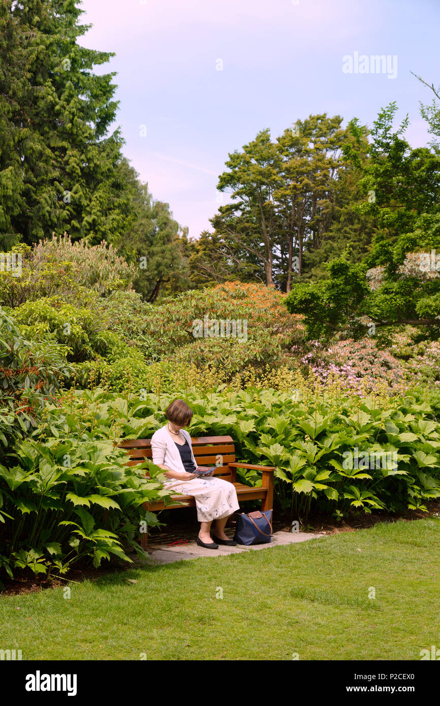 Eine Frau mittleren Alters lesen in einem ruhigen Garten, Royal Botanic Garden, Edinburgh, Schottland Großbritannien Stockfoto