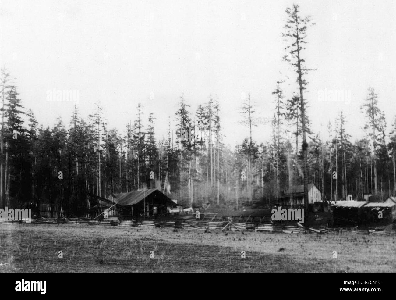 . Englisch: Livermore Mühle 1904-1909, 185 SW von Hart-Straße. Historische Bilder von Beaverton, Oregon. 1904. Unbekannter Fotograf 31 Livermore Mühle 1904-1909, 185 SW von Hart-Straße (Beaverton, Oregon Historische Fotogalerie) (147) Stockfoto