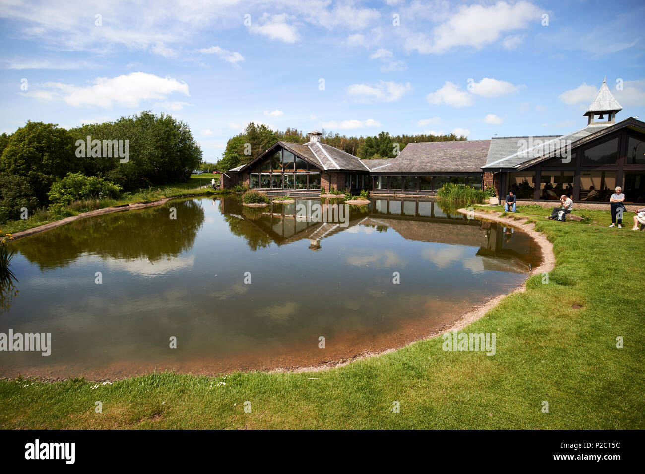 Duck Pond in tabay Dienstleistungen, die auf der M6 in Cumbria England Großbritannien Stockfoto
