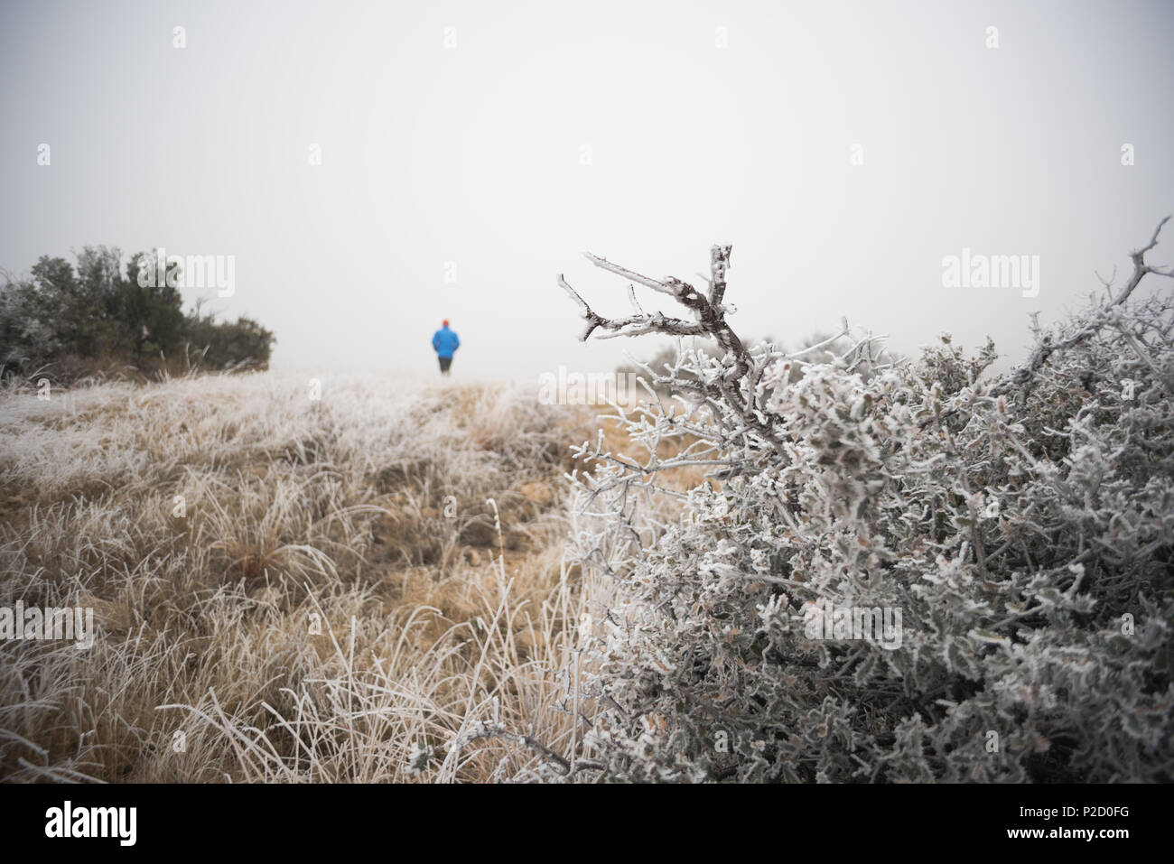 Ein Mann weg zu Fuß in die Entfernung einer Frost bedeckt Wüste in Las Cruces, New Mexico. Stockfoto