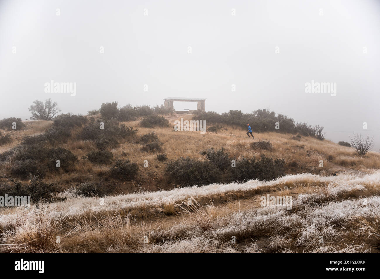 Ein Mann läuft in der Frost bedeckt Orgel in den Bergen in Las Cruces, New Mexico. Stockfoto
