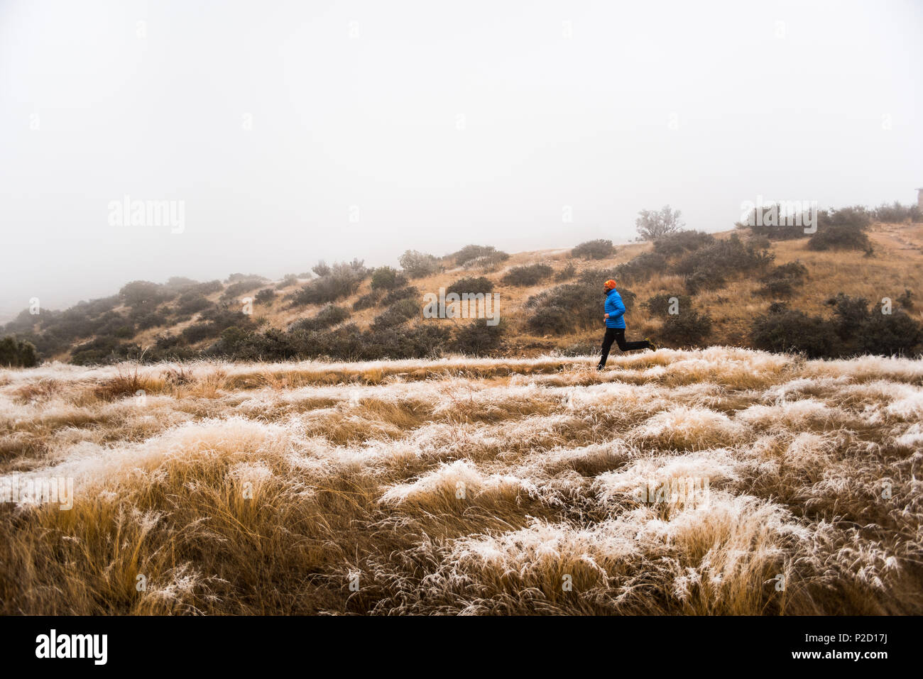Ein Mann läuft in der Frost bedeckt Orgel in den Bergen in Las Cruces, New Mexico. Stockfoto
