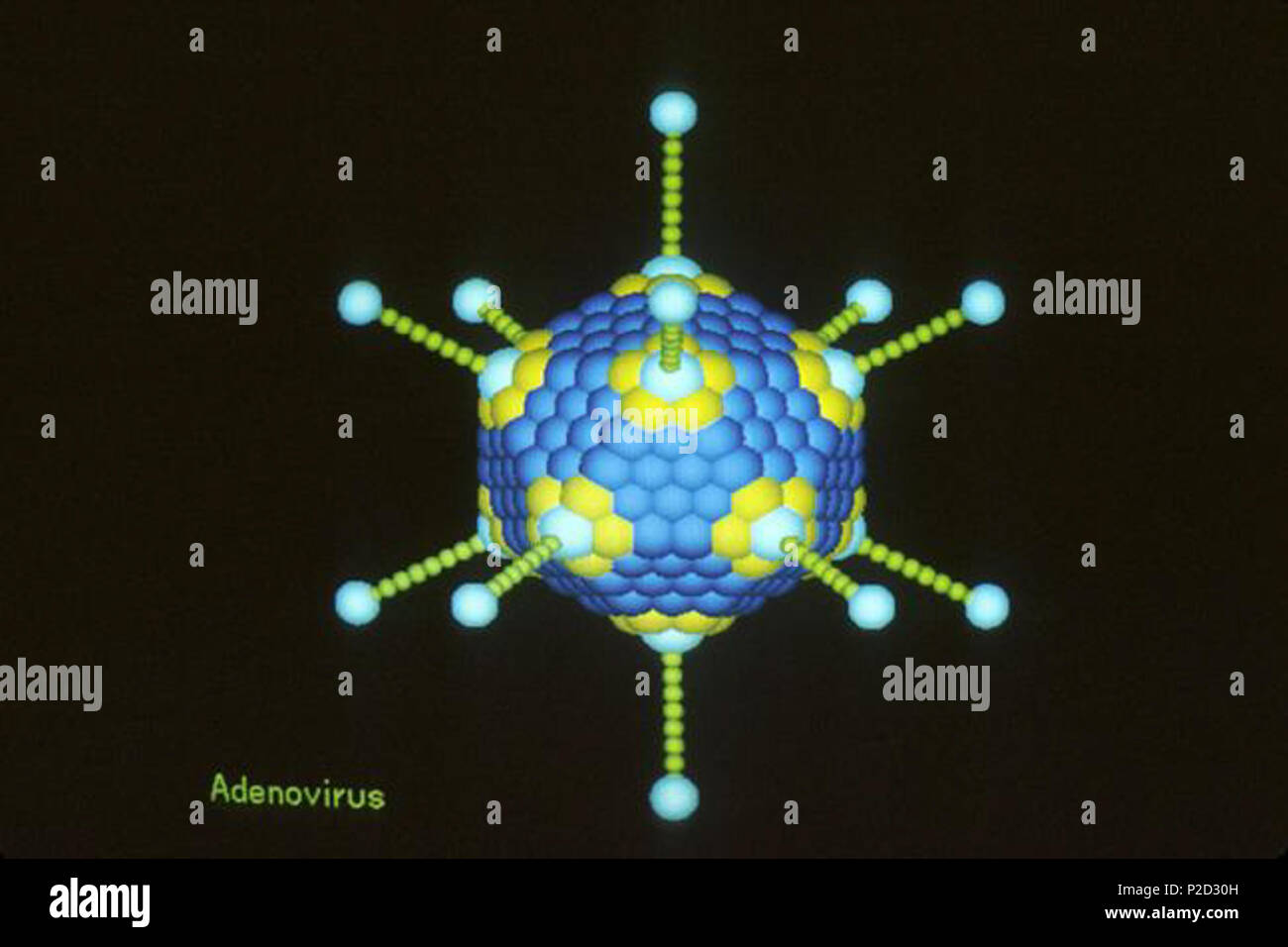 3 AdenovirusCapsid Stockfoto