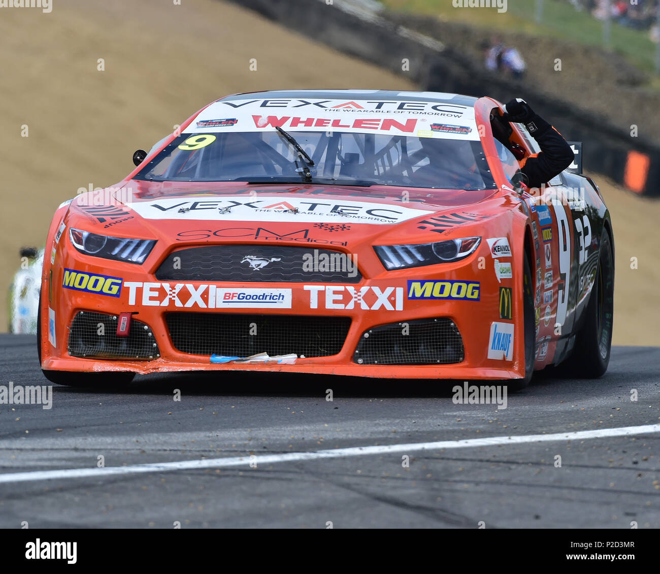 Gianmarco Ercoli, Ford Mustang, Sieger, NASCAR Whelen Euro Serie, Elite 1, American Speedfest VI, Brands Hatch, Juni 2018, Automobile, Autosport, c Stockfoto