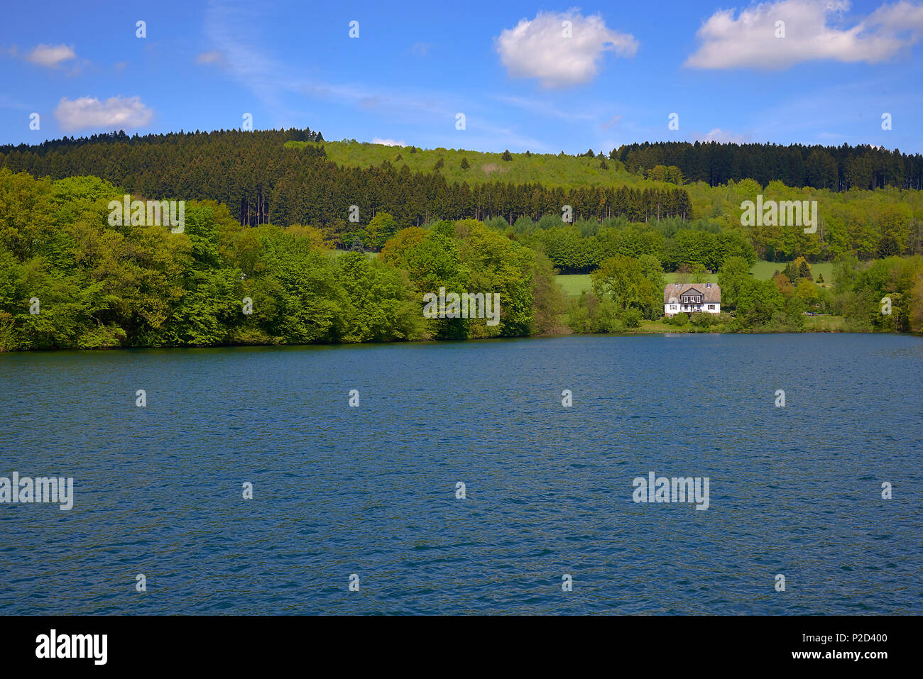 Dam, Listertalsperre, Olpe, Naturpark Ebbegebirge, Sauerland, Nordrhein-Westfalen im Sommer Sonnenschein Stockfoto