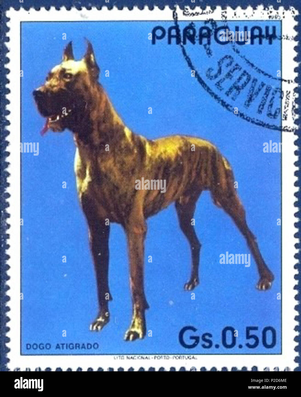 . ???????:???????? ??? . 11. Januar 1984. Stempel der Paraguai 23 Great-Dane-Canis-Lupus-familiaris Stockfoto