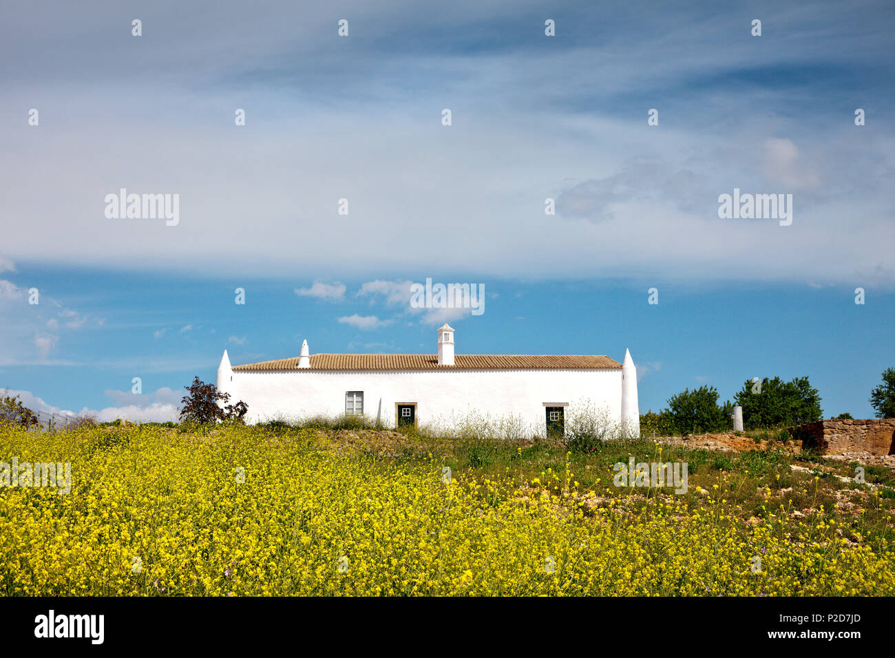 Blüten vor einem weißen Haus, Milreu, Algarve, Portugal Stockfoto