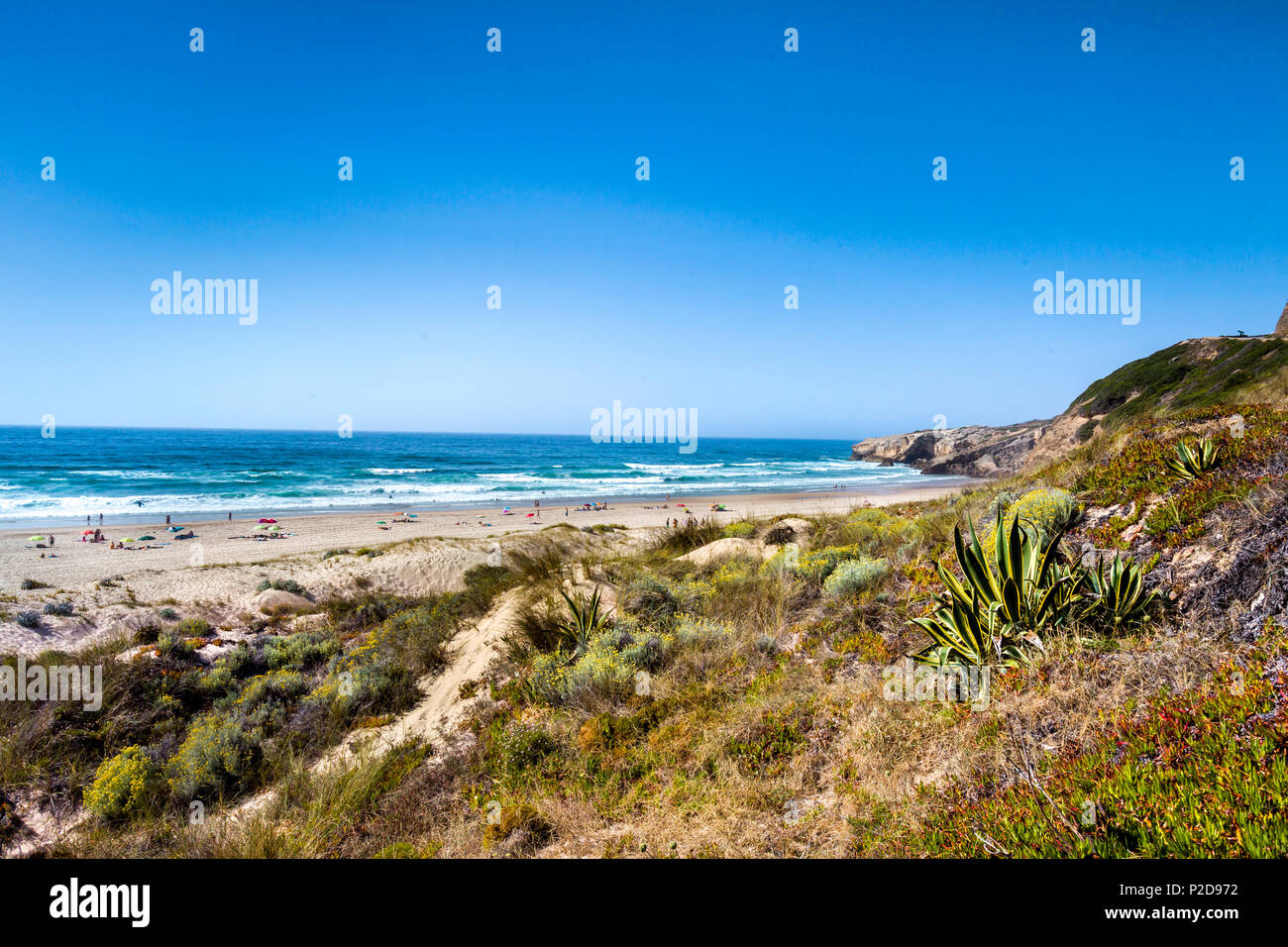 Strand, Praia de Monte Clerigo, Aljezur an der Costa Vicentina, Algarve, Portugal Stockfoto