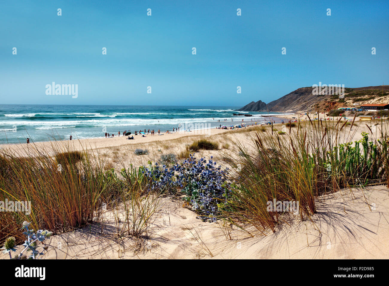 Dünen und Strand, Praia da Amoreira, Aljezur an der Costa Vicentina, Algarve, Portugal Stockfoto