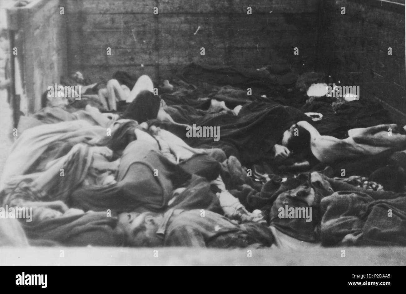 . Englisch: Leichen liegen in einem der offenen Triebwagen Dachau Tod Zug in Deutschland. April - Mai 1945 14 Leichen im KZ Dachau den Tod Zug Stockfoto