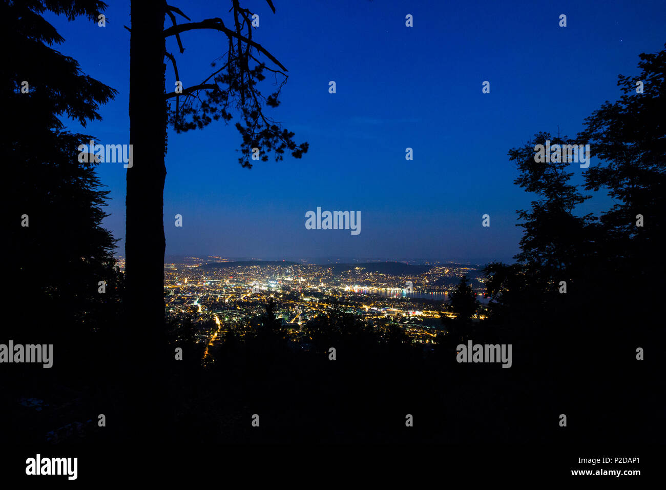 Zürich bei Nacht, Blick vom Uetliberg, Zürich, Schweiz Stockfoto